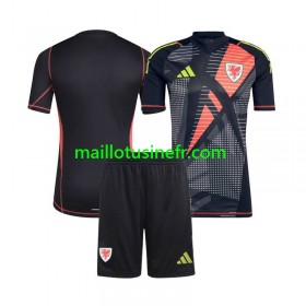 Maillot de Foot Pays de Galles Gardien Domicile 2024 - Enfant
